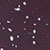 Plum Speckle